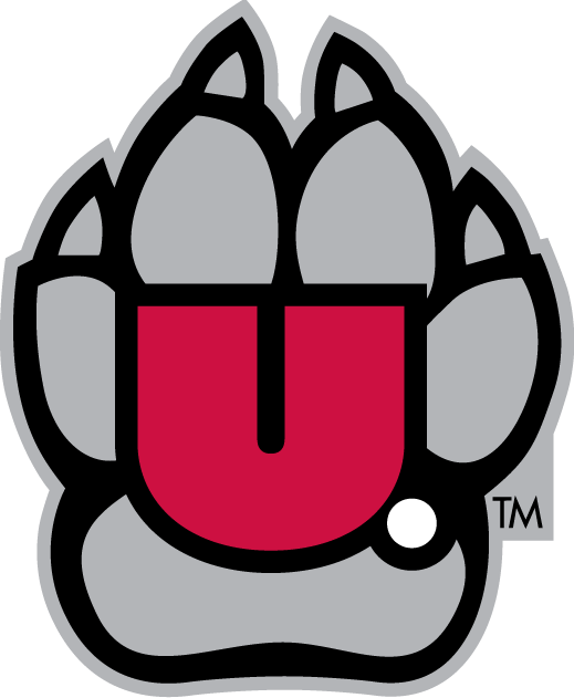 South Dakota Coyotes 2004-2011 Alternate Logo v2 DIY iron on transfer (heat transfer)